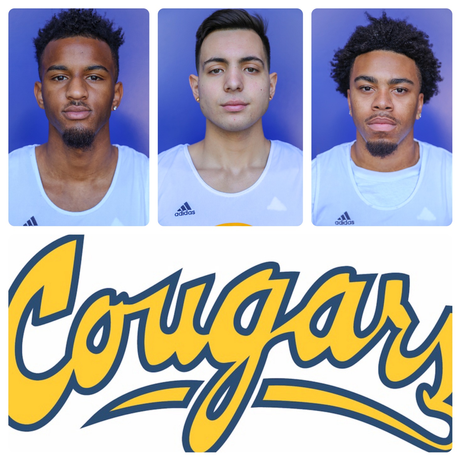 COC men's basketball 2018-19 All-WSC honorees.