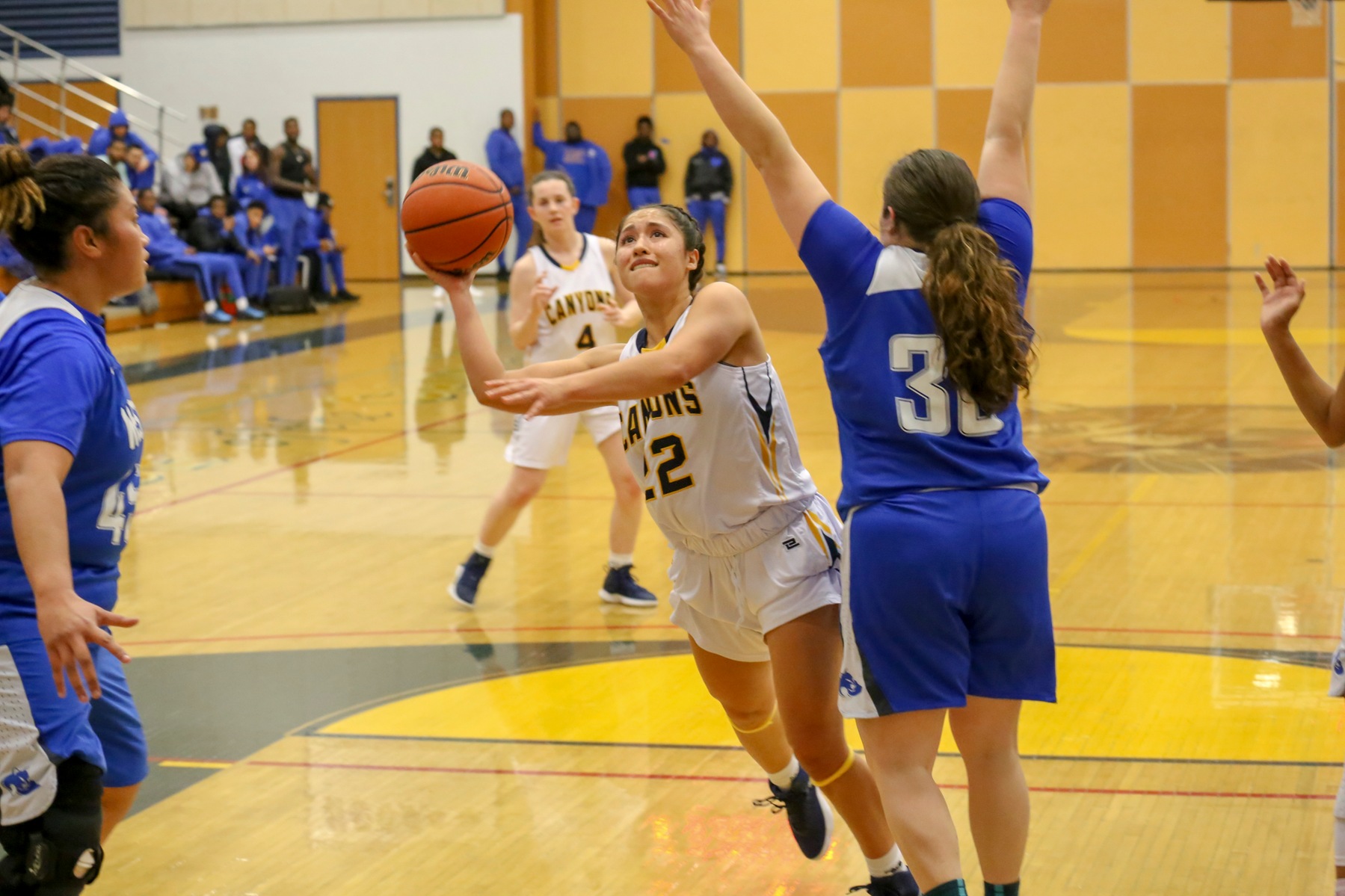 College of the Canyons women's basketball vs. West L.A. College on Feb. 2, 2019 at the Cougar Cage.