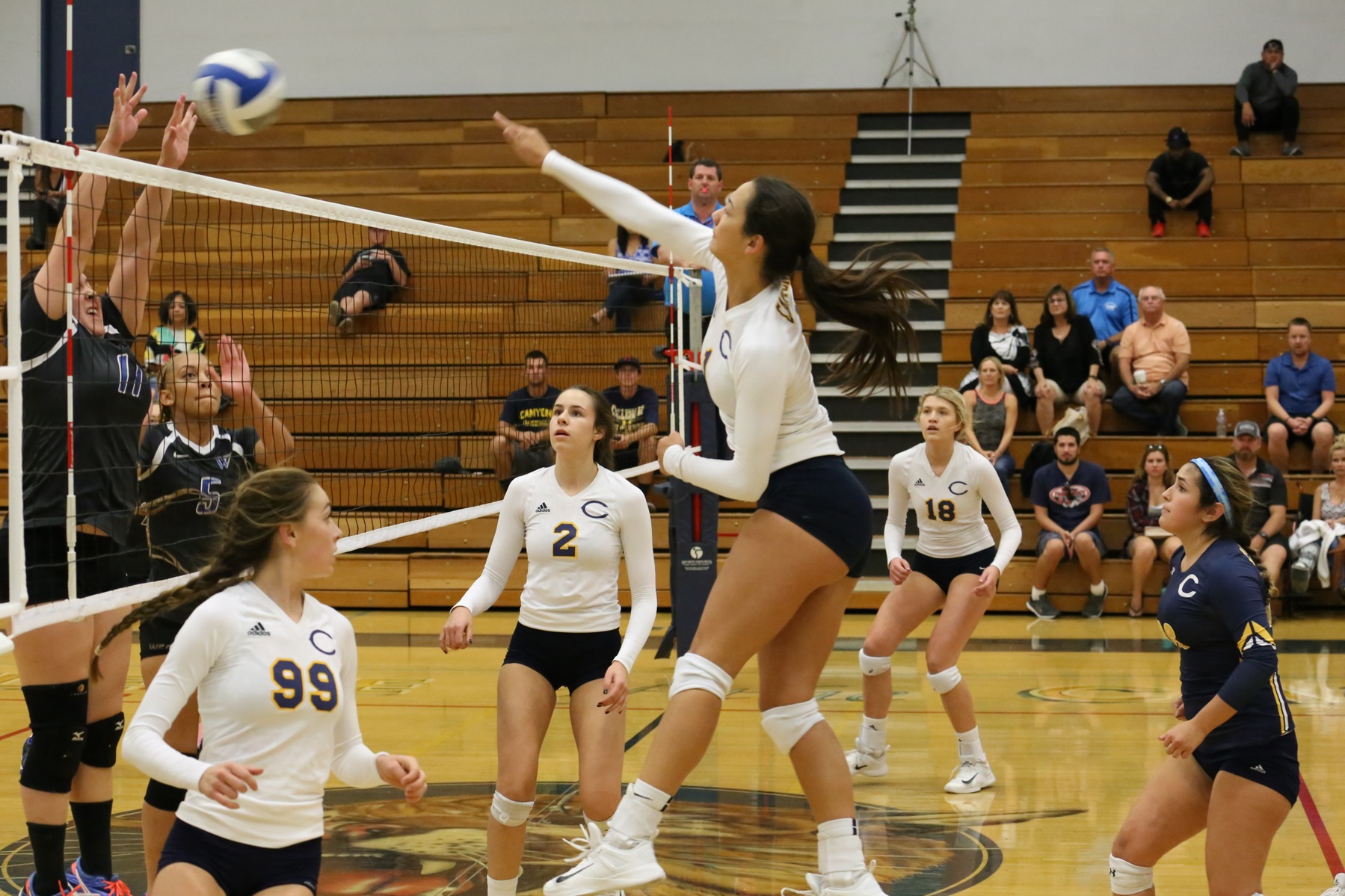No.11 Canyons Sweeps West L.A. at the Cougar Cage