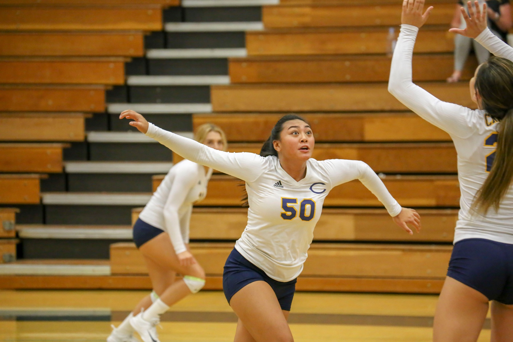 Canyons Volleyball Returns to Cougar Cage Aug. 29