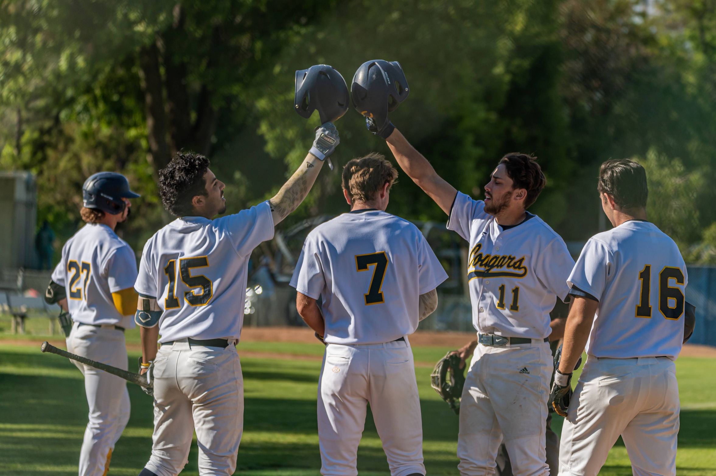 College of the Canyons baseball stock image.