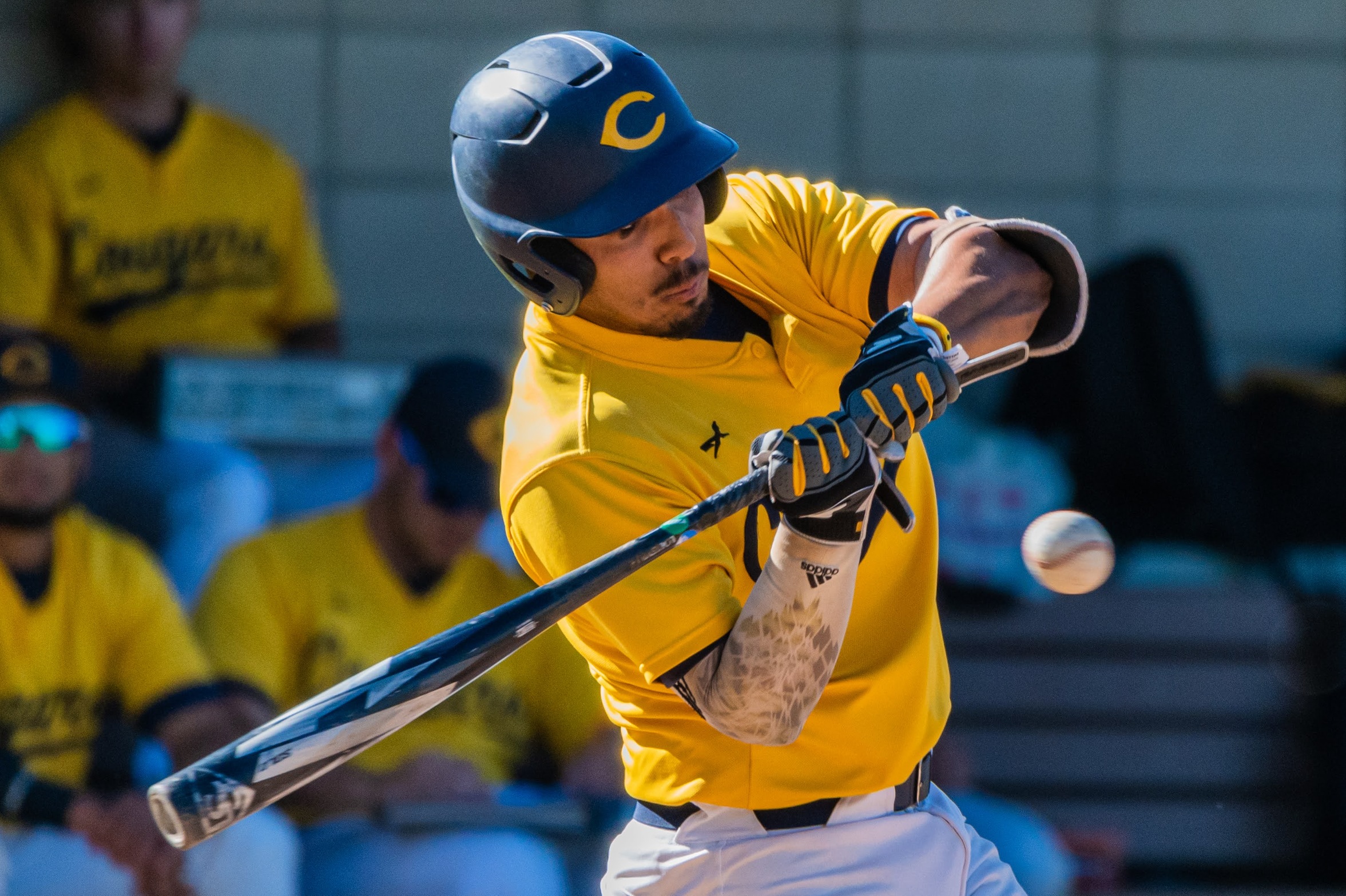 College of the Canyons baseball stock image of student-athlete Andy Ambriz.
