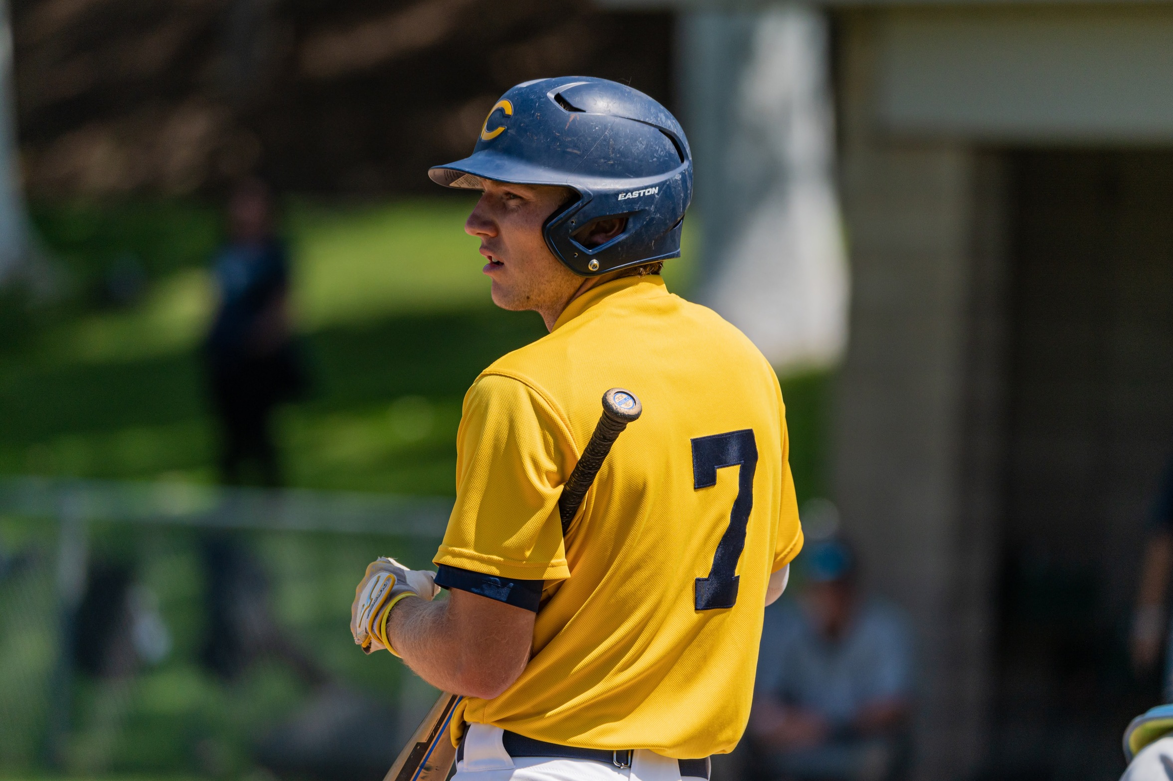 Stock image of College of the Canyons baseball student-athlete Mikey Kane.