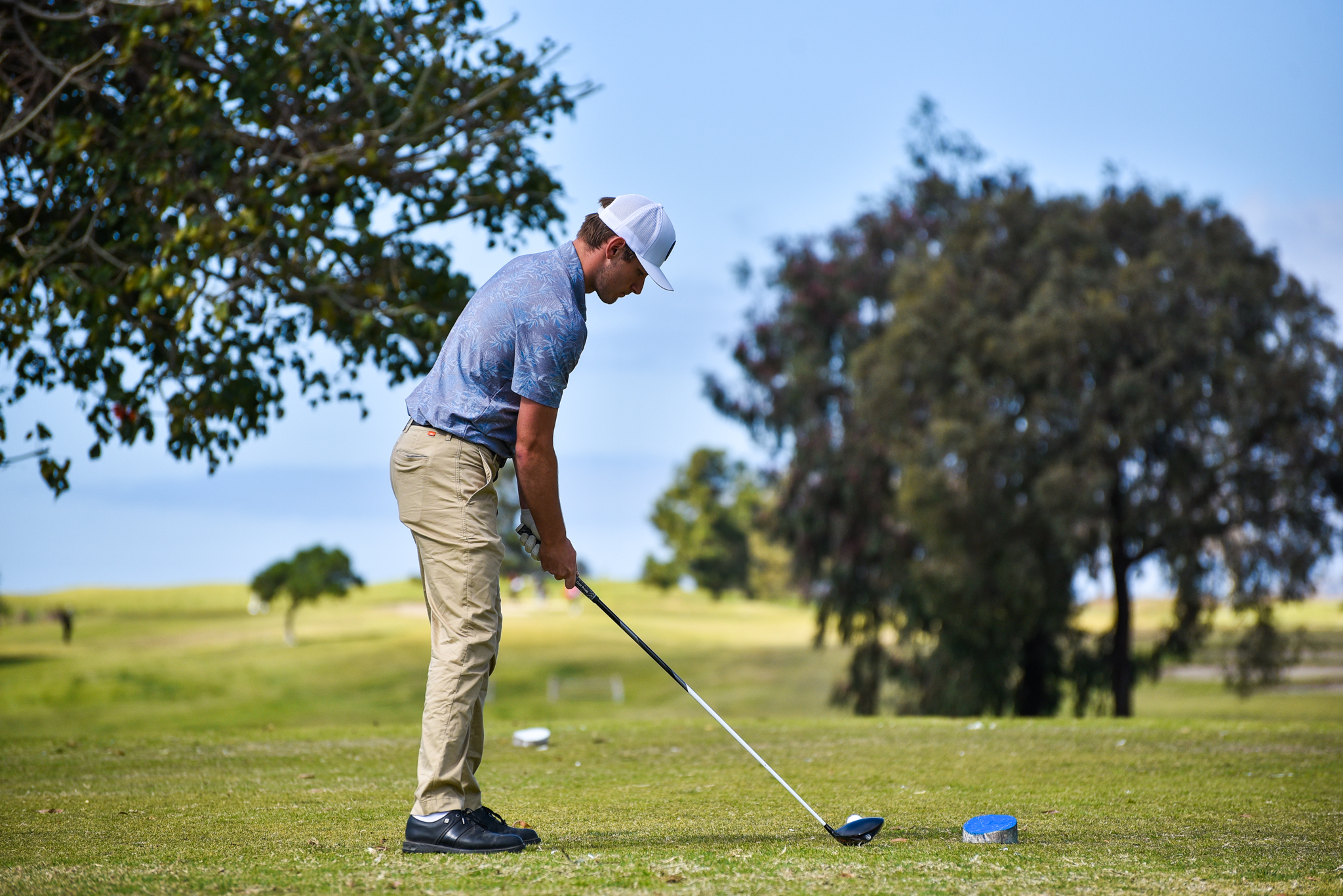 College of the Canyons men's golf stock image.
