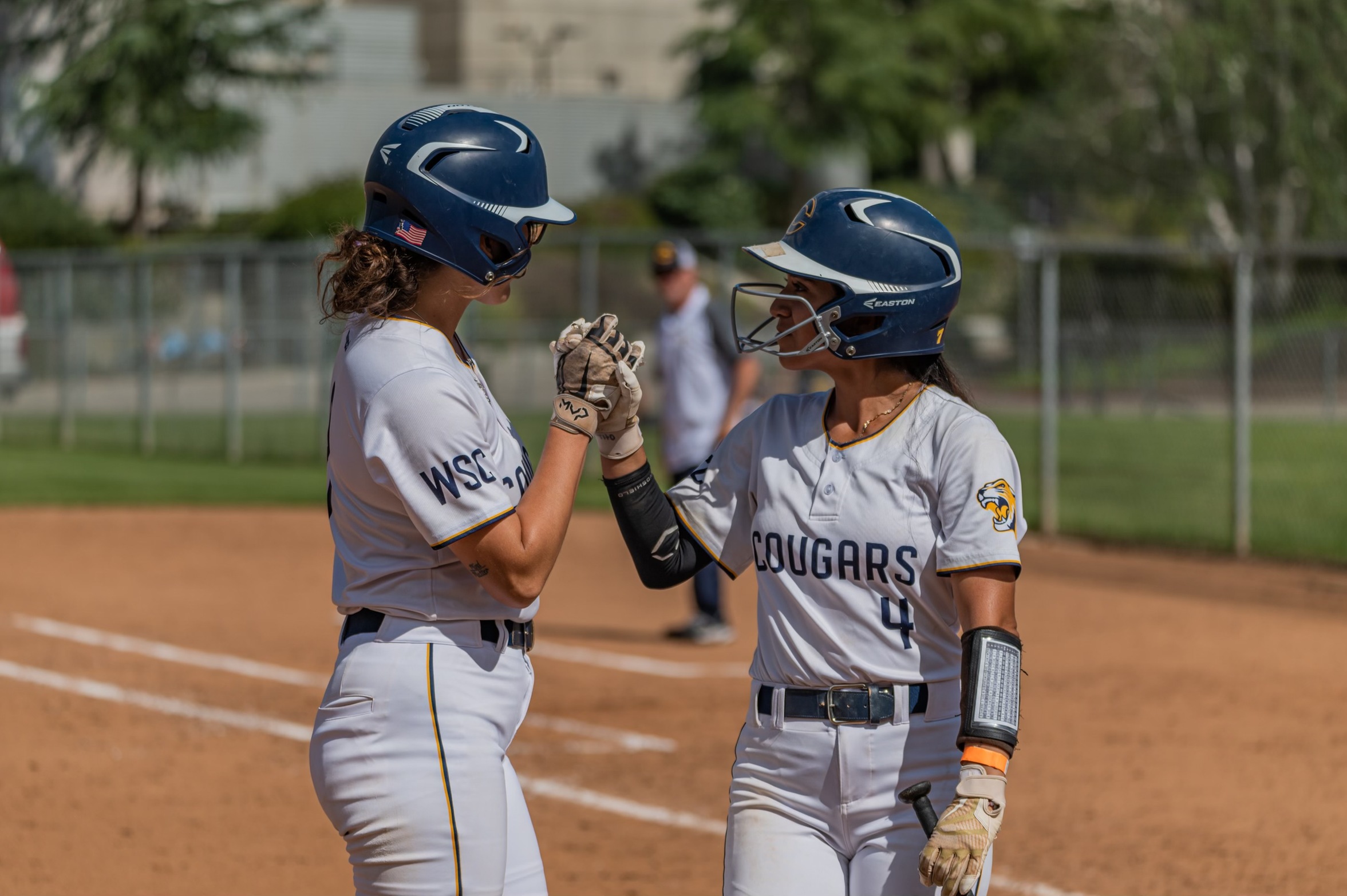 College of the Canyons softball stock image.