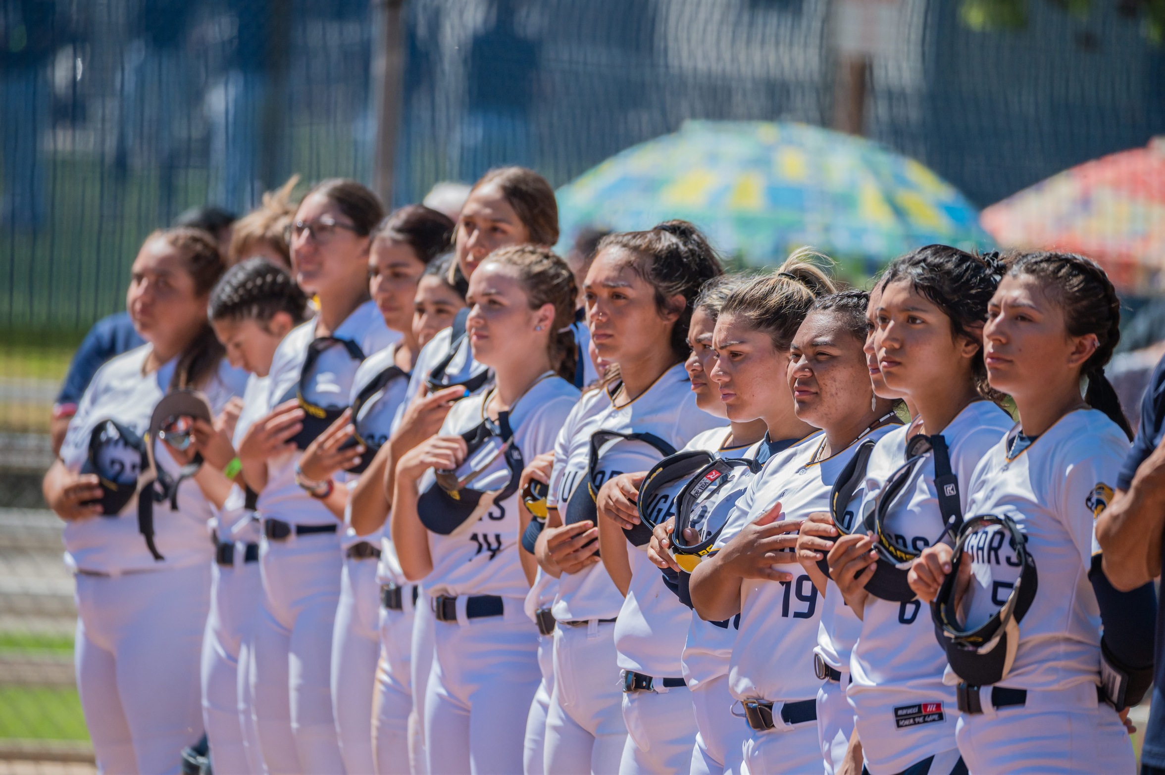 College of the Canyons softball stock image.