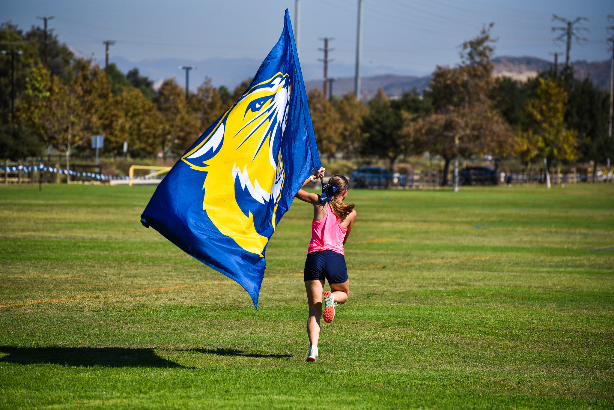 College of the Canyons women's cross country stock image.